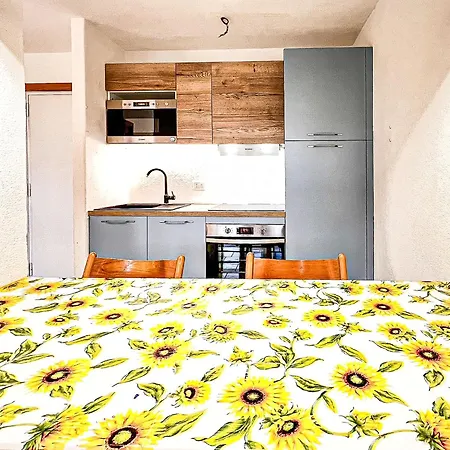Rooster Home's Santa Teresa Gallura