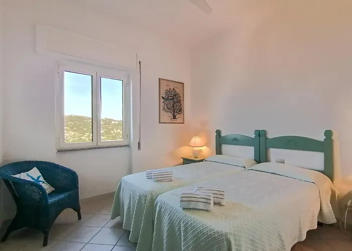 Rooster Home's * Santa Teresa Gallura